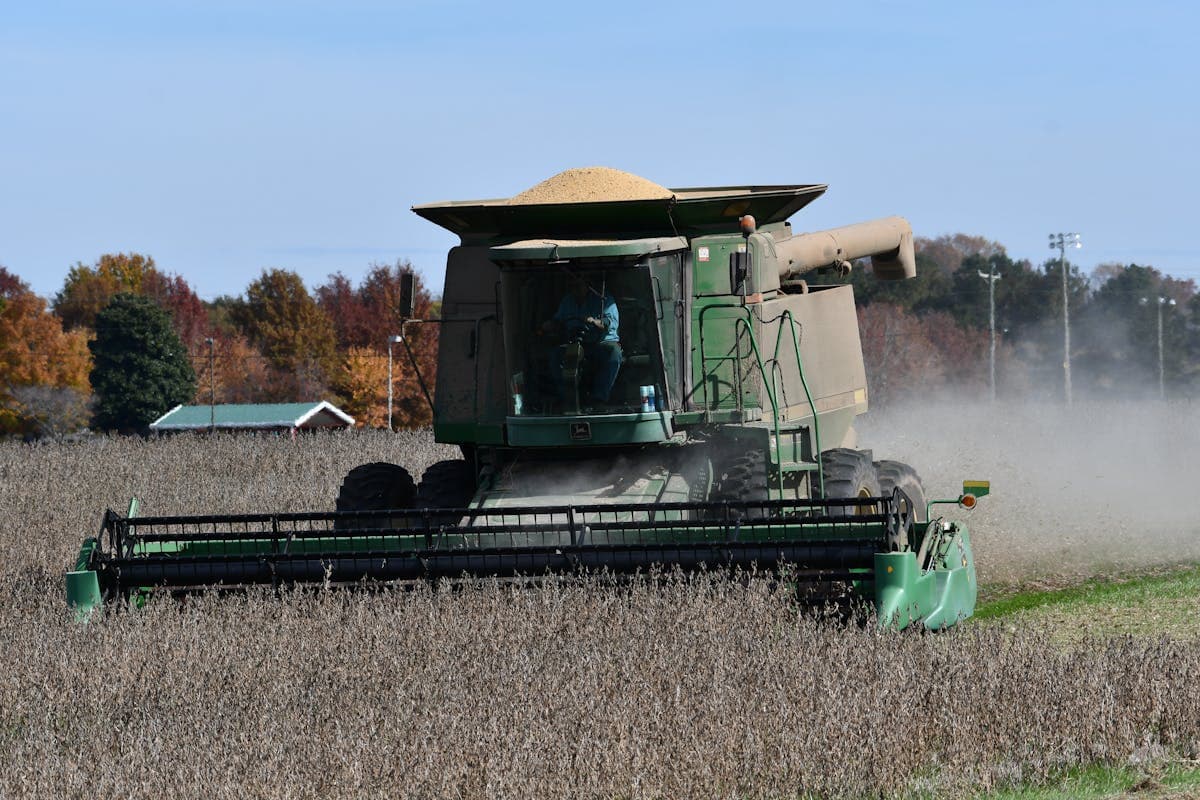 Soybean field in Alabama