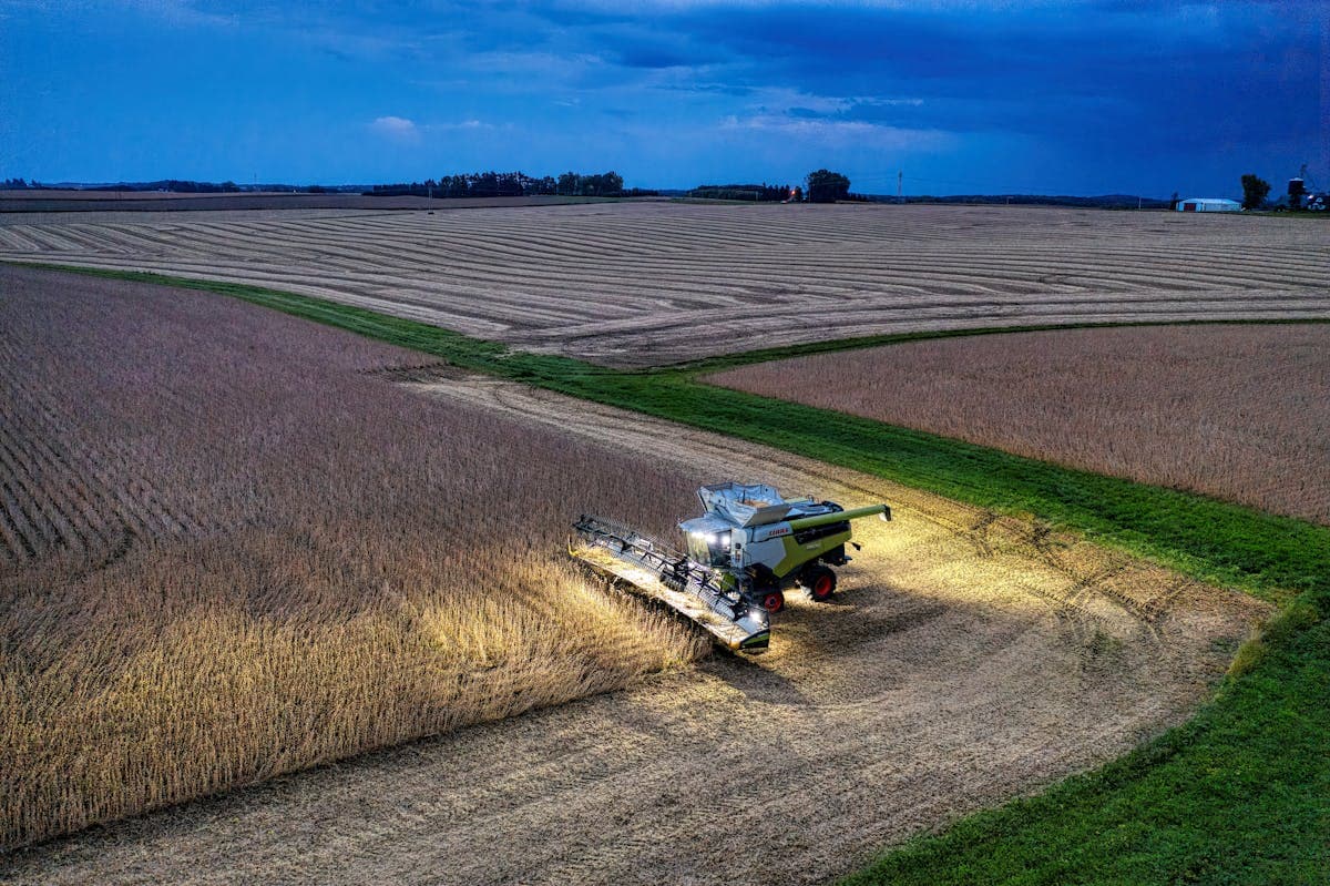 Soybean harvest at dusk